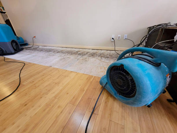 Professional Water Removal technician working in Bernard, ME